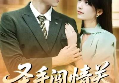 圣手闯情关（60集）李泽平&李依依海报