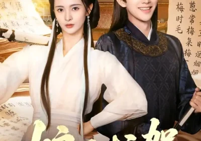 娘子护驾(73集)陈外&刘柠熹海报