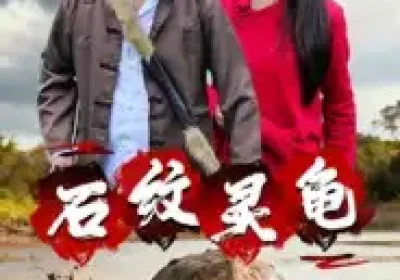 石纹灵龟(30集)王浩&刘灵海报