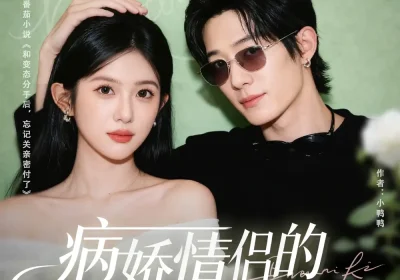 病娇情侣的千层套路(80集)向明&芷芃海报