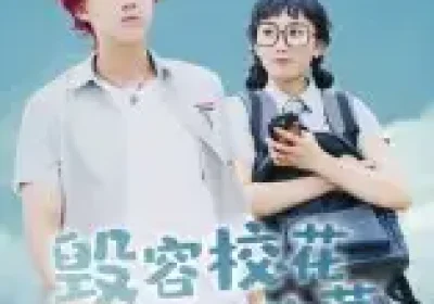 毁容校花和丑男校草（91集）海报