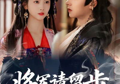 将军请留步（64集）明川＆阿尚海报