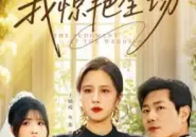 直播婚礼，我惊艳全场（40集）张铭祥&王婧琦海报