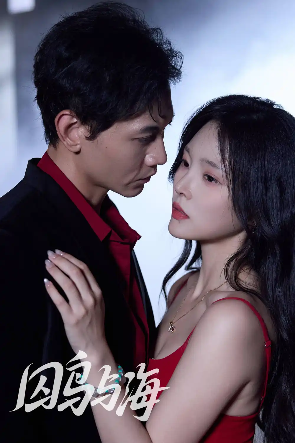 囚鸟与海(51集)苗雨峤&徐菡琳高清海报图片 囚鸟与海(51集)苗雨峤&徐菡琳海报