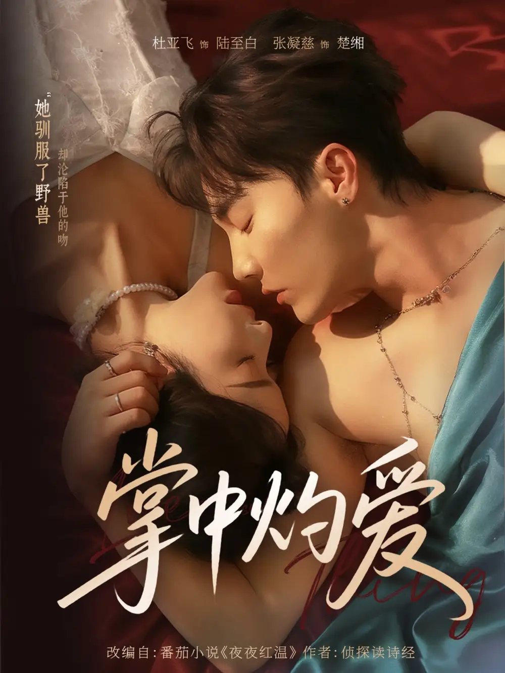 掌中灼爱(62集)杜亚飞&张凝慈高清海报图片 掌中灼爱(62集)杜亚飞&张凝慈海报