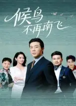 候鸟不再南飞（80集）苗峯&王真真海报