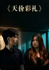 天价彩礼（20集）孙文轶轩海报