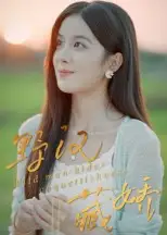 野汉藏娇（30集）陈梦玲海报