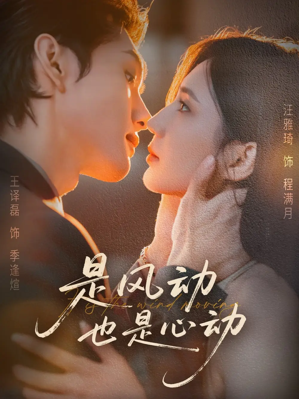 是风动也是心动(60集)王译磊&汪雅琦高清海报图片 是风动也是心动(60集)王译磊&汪雅琦海报