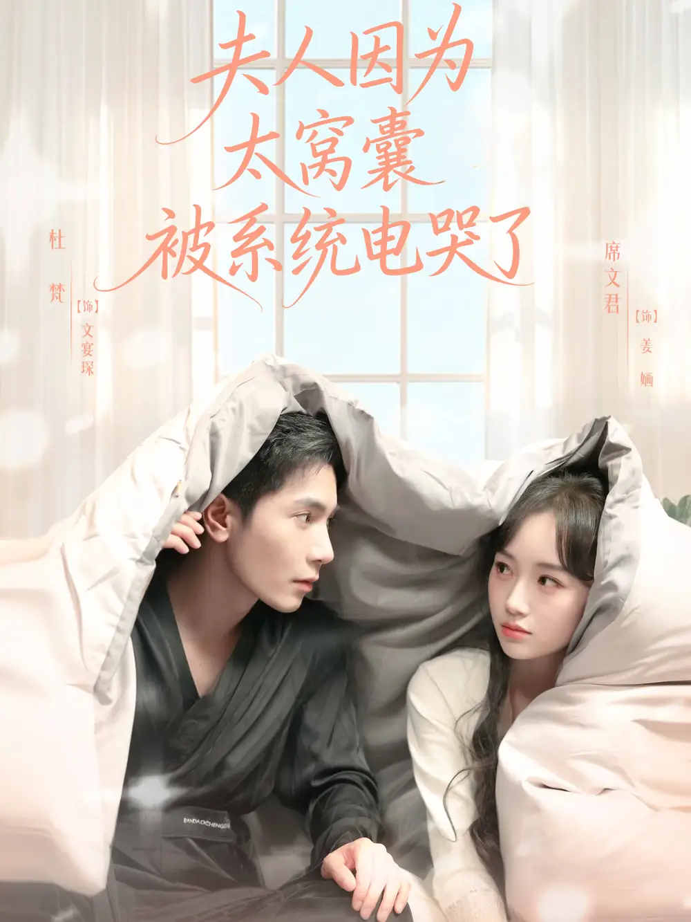 夫人因为太窝囊被系统电哭了（77集）杜梵＆席文君海报