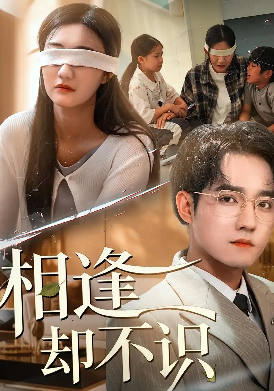 短剧《相逢却不识》夸克资源免费在线观看全集