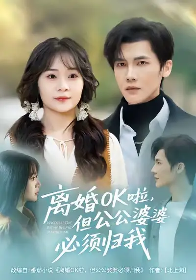 短剧《离婚OK啦，但公公婆婆必须归我》夸克资源免费在线观看全集