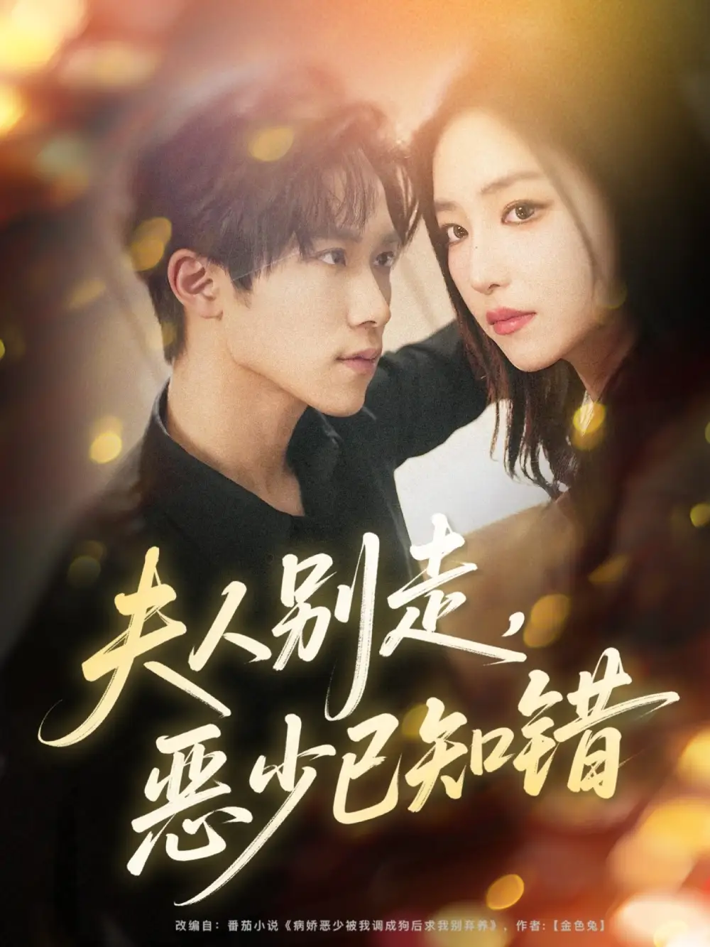 短剧《夫人别走，恶少已知错》夸克资源免费在线观看全集