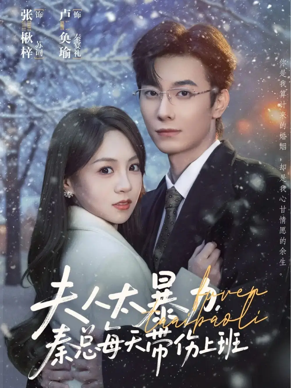 短剧《夫人太暴力，秦总每天带伤上班》夸克资源免费在线观看全集