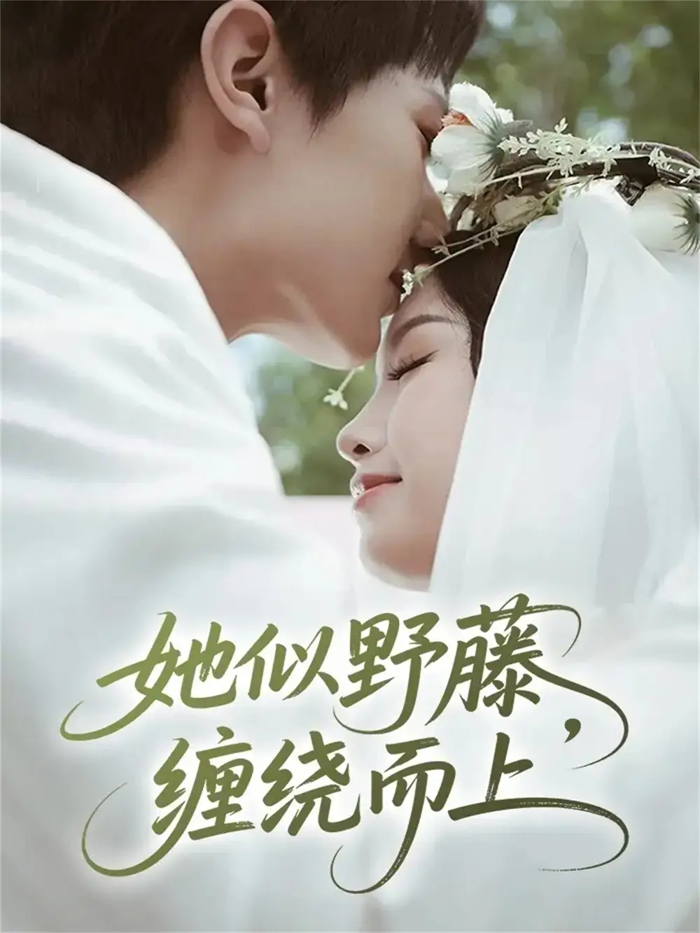 短剧《她似野藤，缠绕而上》夸克资源免费在线观看全集