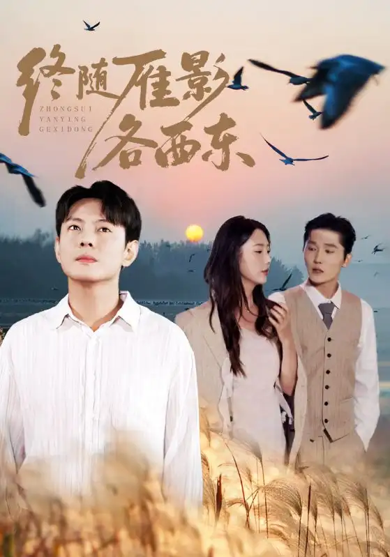 短剧《终随雁影各西东》夸克资源免费在线观看全集