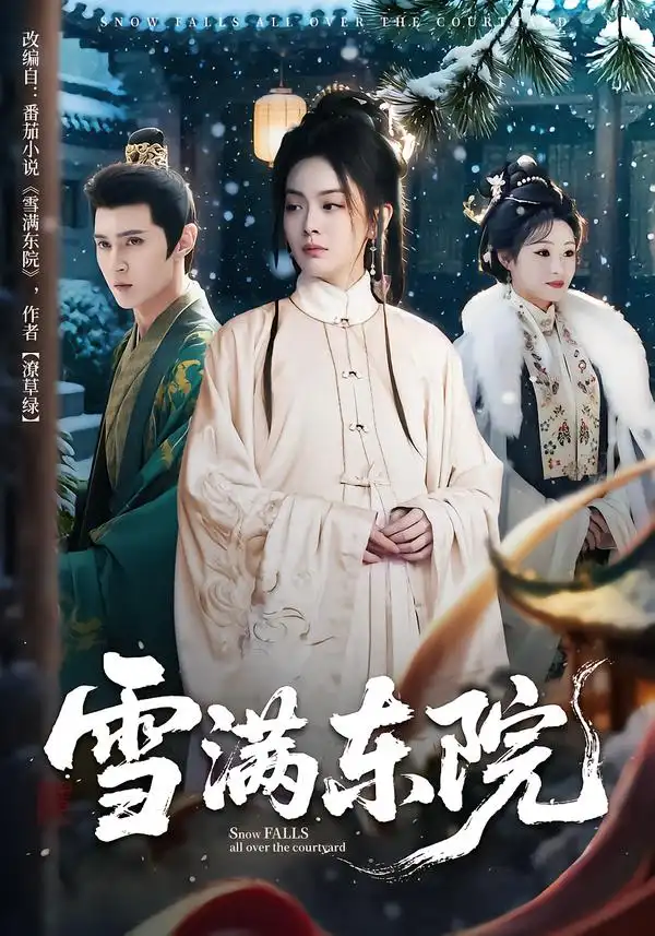 雪满东院（60集）赵安第&沈渡海报