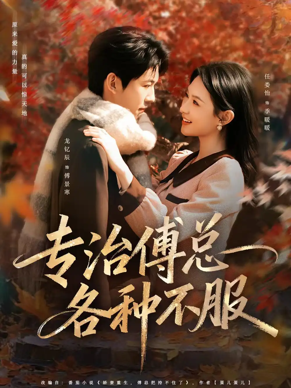 短剧《专治傅总各种不服》高清完整版免费观看