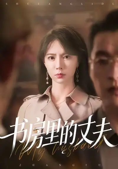 书房里的丈夫（100集）辛宛柔＆赵焕城海报