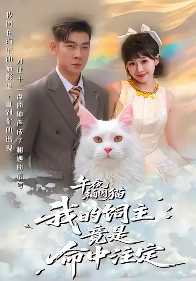 短剧《午夜缅因猫我的饲主竟是命中注定》免费在线观看完整版