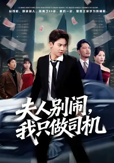 短剧《夫人别闹我只做司机》夸克资源免费在线观看全集