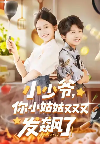 小少爷，你小姑姑又又又发飙了（99集）海报