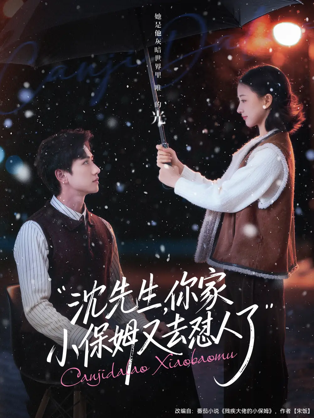 短剧《沈先生，你家小保姆又去怼人了》免费在线观看完整版