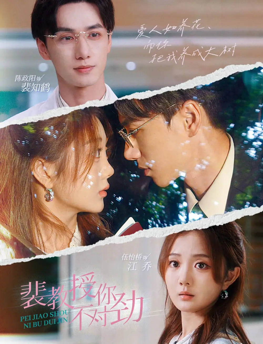 短剧《裴教授你不对劲》免费在线观看完整版