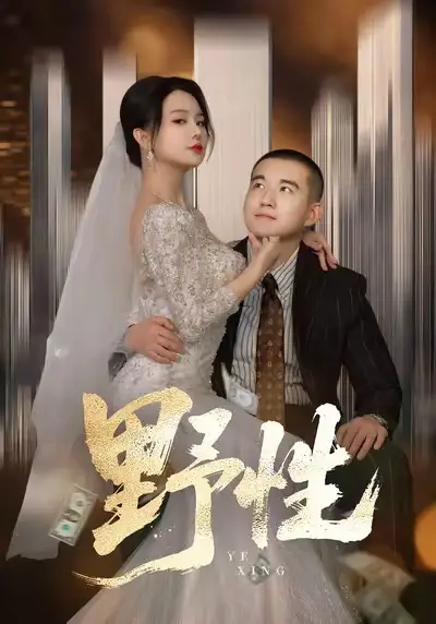 野性＆分手后，顶头上司要嫁我（70集）阎论＆梦露海报