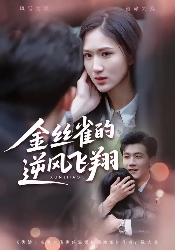 短剧《金丝雀的逆风飞翔》在线免费观看全集