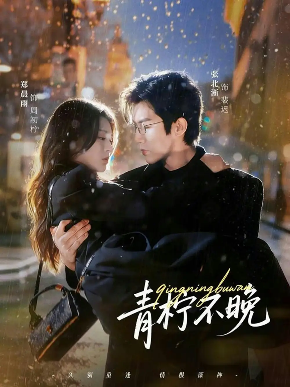 青柠不晚（78集）郑晨雨$张北淅海报