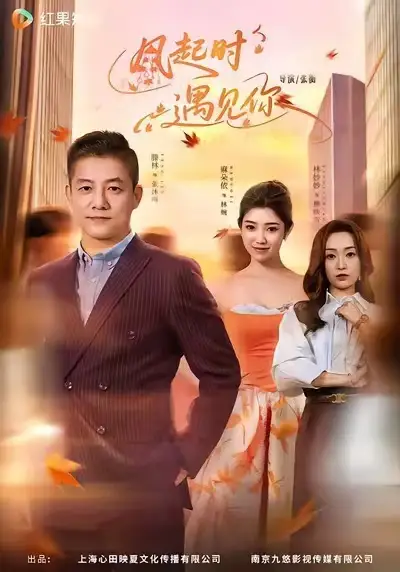 短剧《风起时遇见你》夸克资源免费在线观看全集