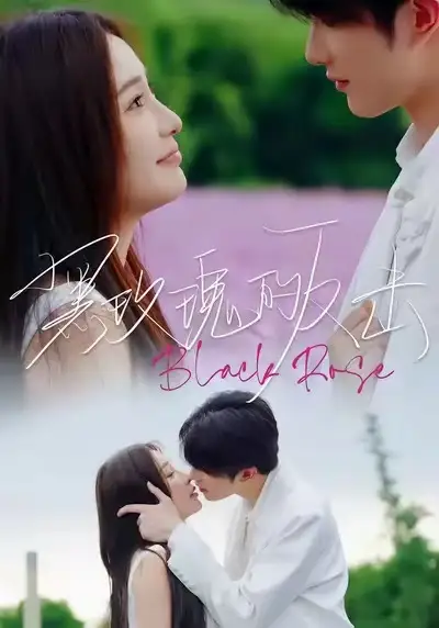 短剧《黑玫瑰的反击》高清完整版免费观看