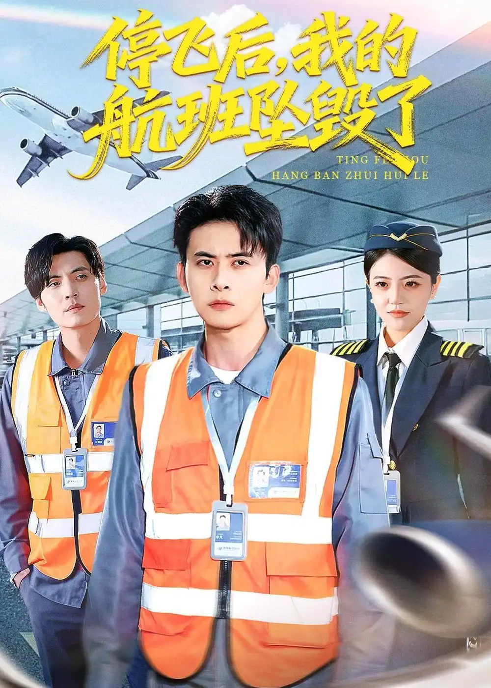 短剧《停飞后，我的航班坠毁了》完整版免费在线观看