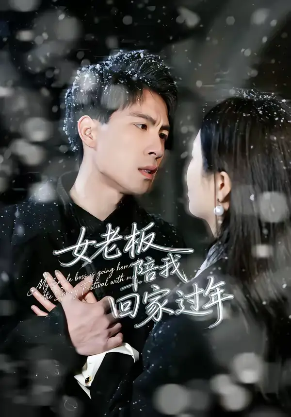 短剧《女老板陪我回家过年》夸克资源免费在线观看全集