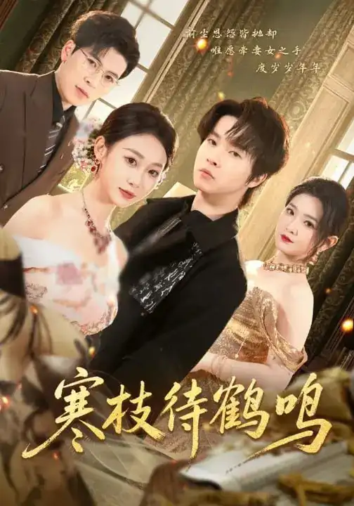 短剧《寒枝待鹤鸣》在线免费观看全集