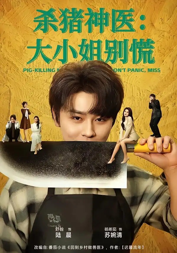 短剧《杀猪神医，大小姐别慌》完整版免费在线观看