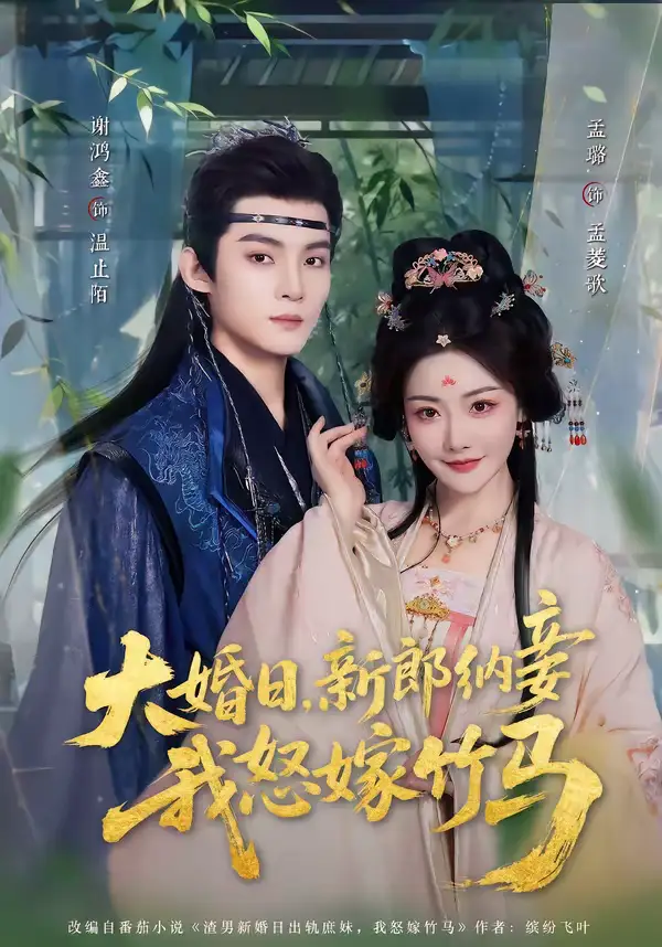 大婚日，新郎纳妾我怒嫁竹马（80集）谢鸿鑫＆孟璐海报