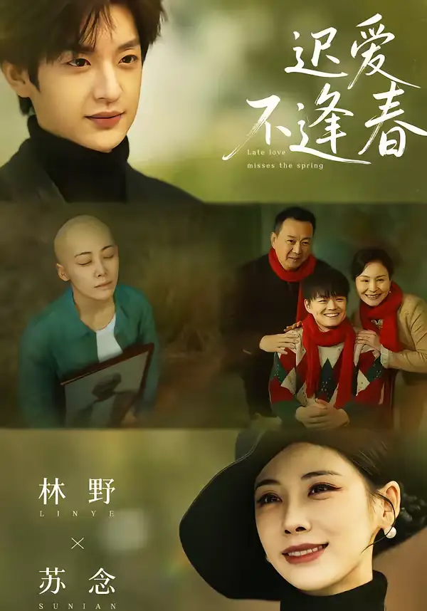 短剧《迟爱不逢春》夸克资源免费在线观看全集