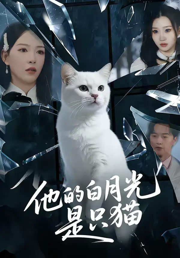 短剧《他的白月光是只猫》免费在线观看完整版