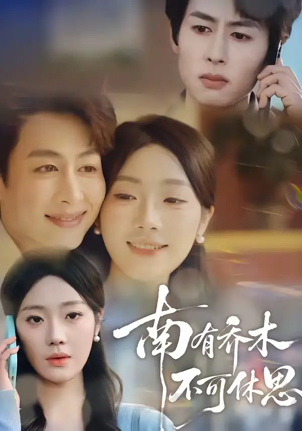 短剧《南有乔木，不可休思》完整版免费在线观看