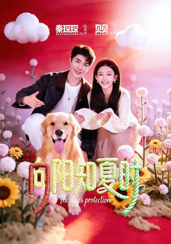 短剧《向阳知夏时》在线免费观看全集