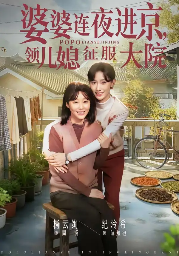 短剧《婆婆连夜进京，领儿媳征服大院》免费播放完整版